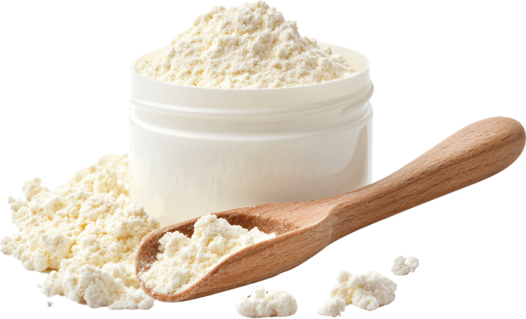 Natural ingredient Lactoferrin used in Synadentix formula to support dental health.