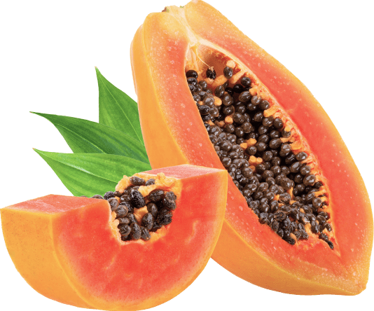 Natural ingredient Dextranase used in Synadentix formula to support dental health.